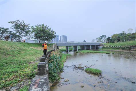 治理后的茅洲河早已是綠草茵茵白鷺翩飛1